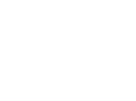 ztConsults